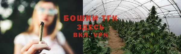 гашик Волосово