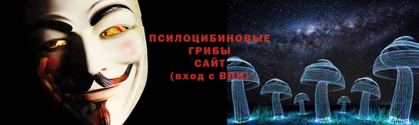гашик Волосово