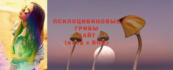 гашик Волосово