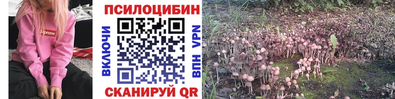 Галлюциногенные грибы GOLDEN TEACHER  как найти закладки  гидра ССЫЛКА  Махачкала 